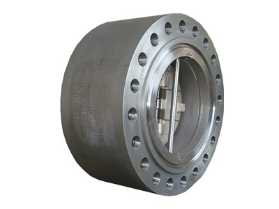 Forged wafer-lug type dual plate swing check valve